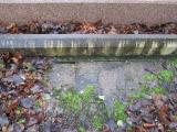 image of grave number 373539